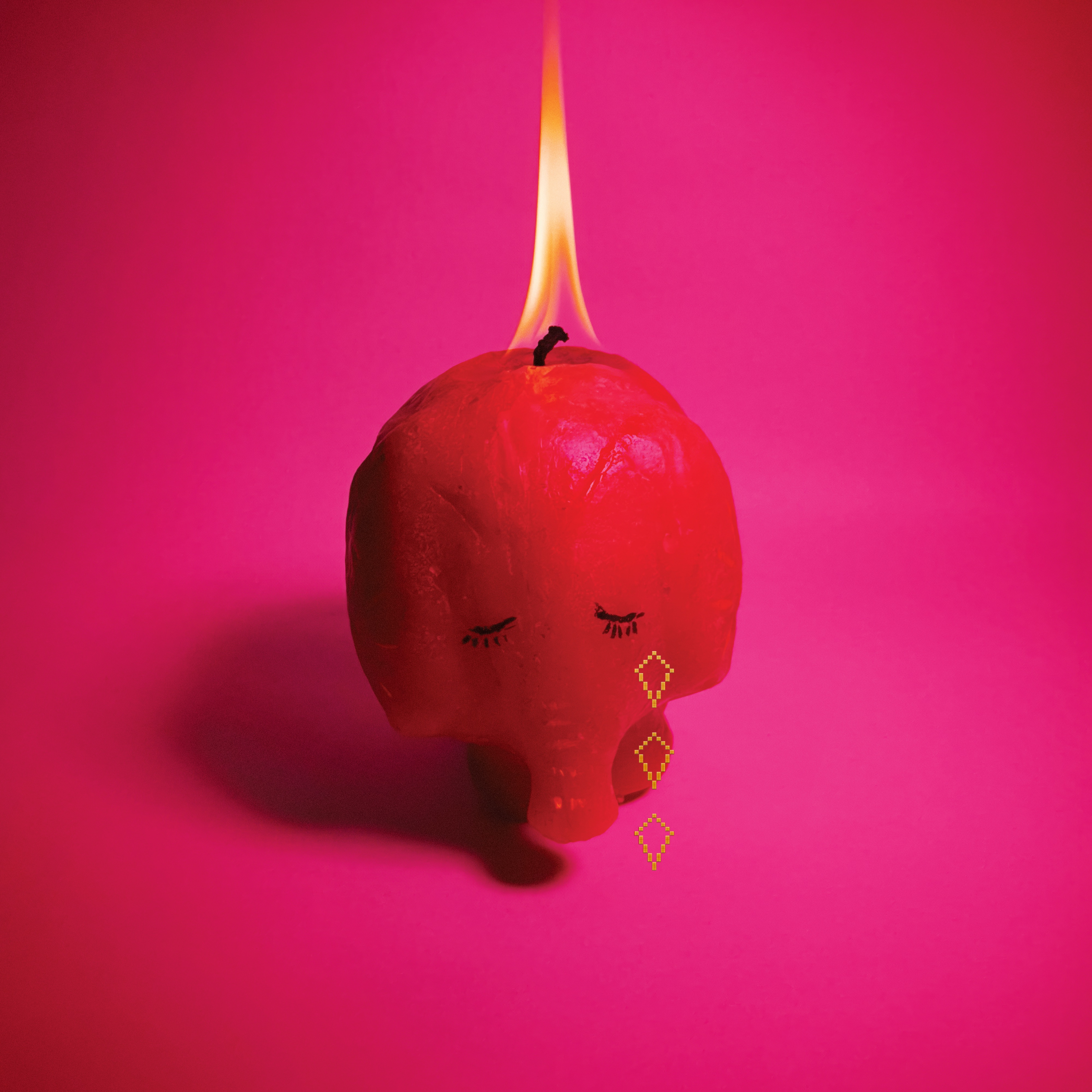 Pink Elephant album cover