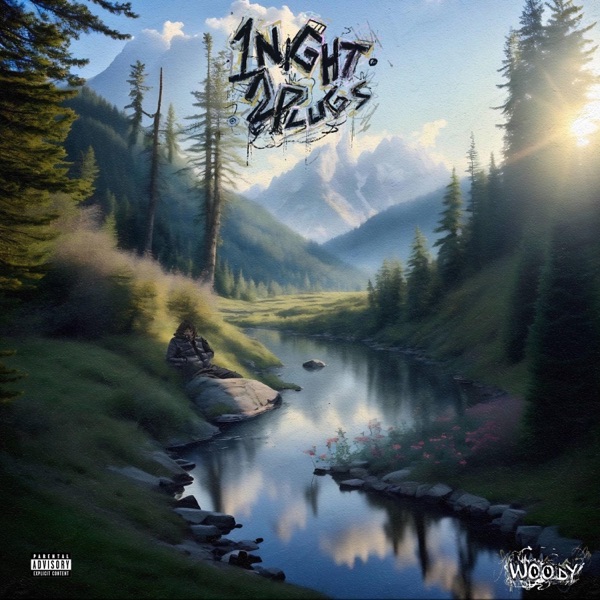 1night2plugs album cover