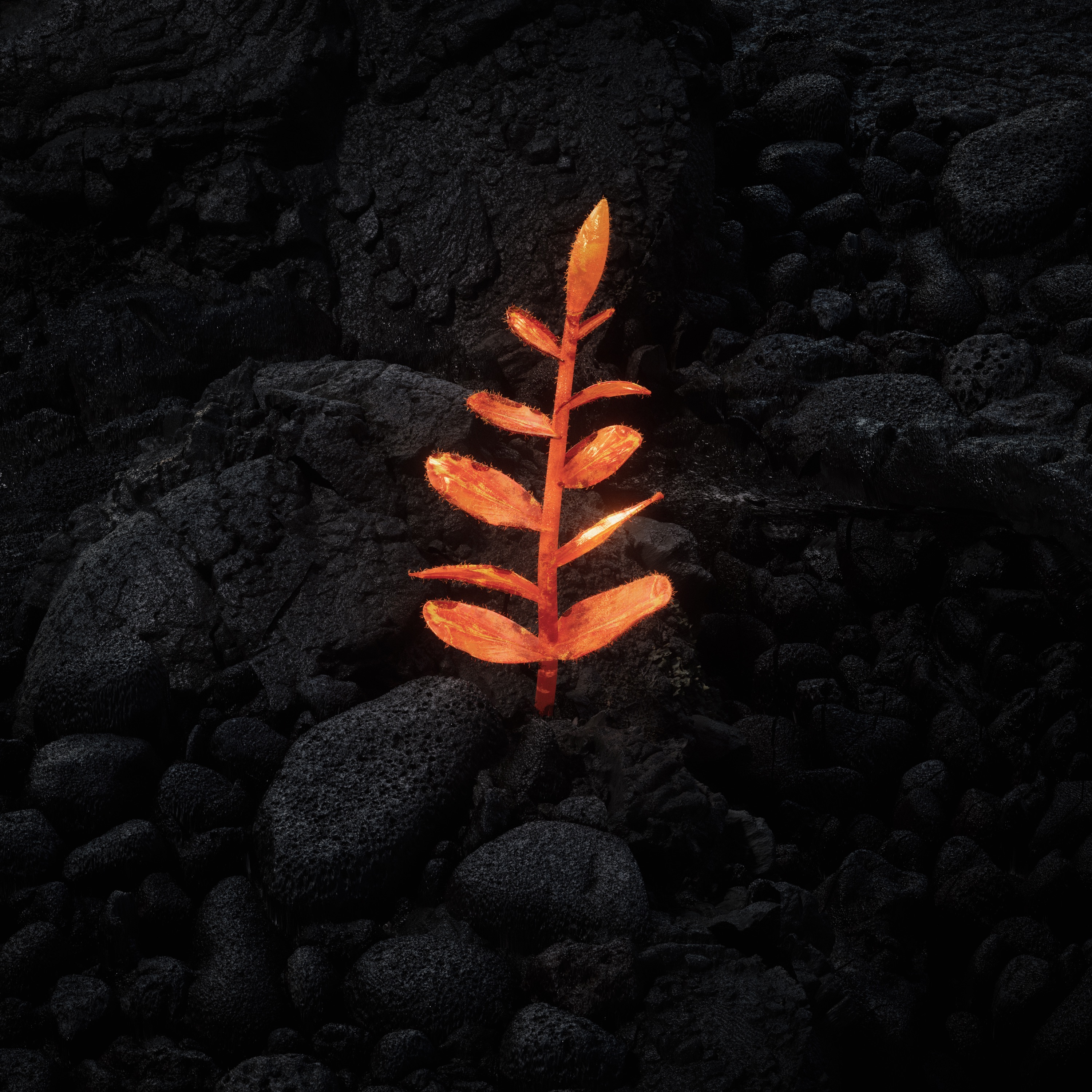 Revival - Single album cover