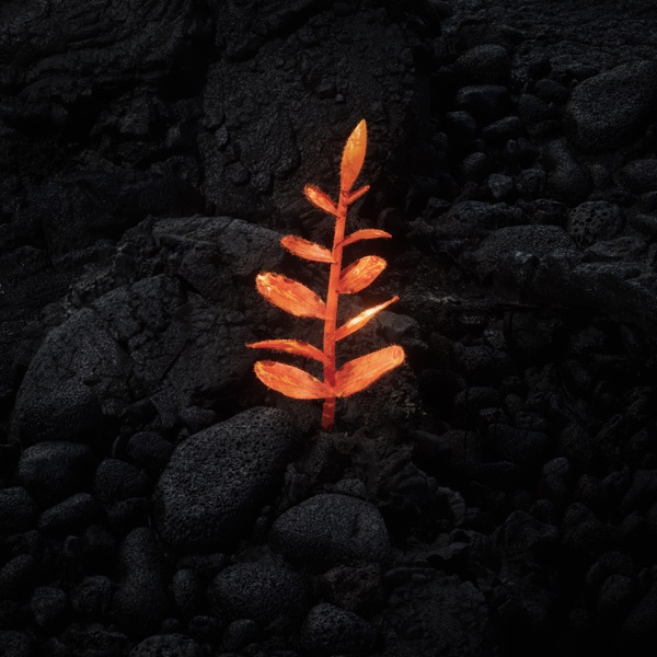 Revival - Single album cover