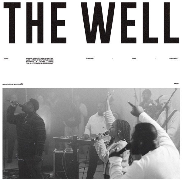 The Well (feat. Ryan Ofei, Sewa & Kofi Dartey) - Single album cover