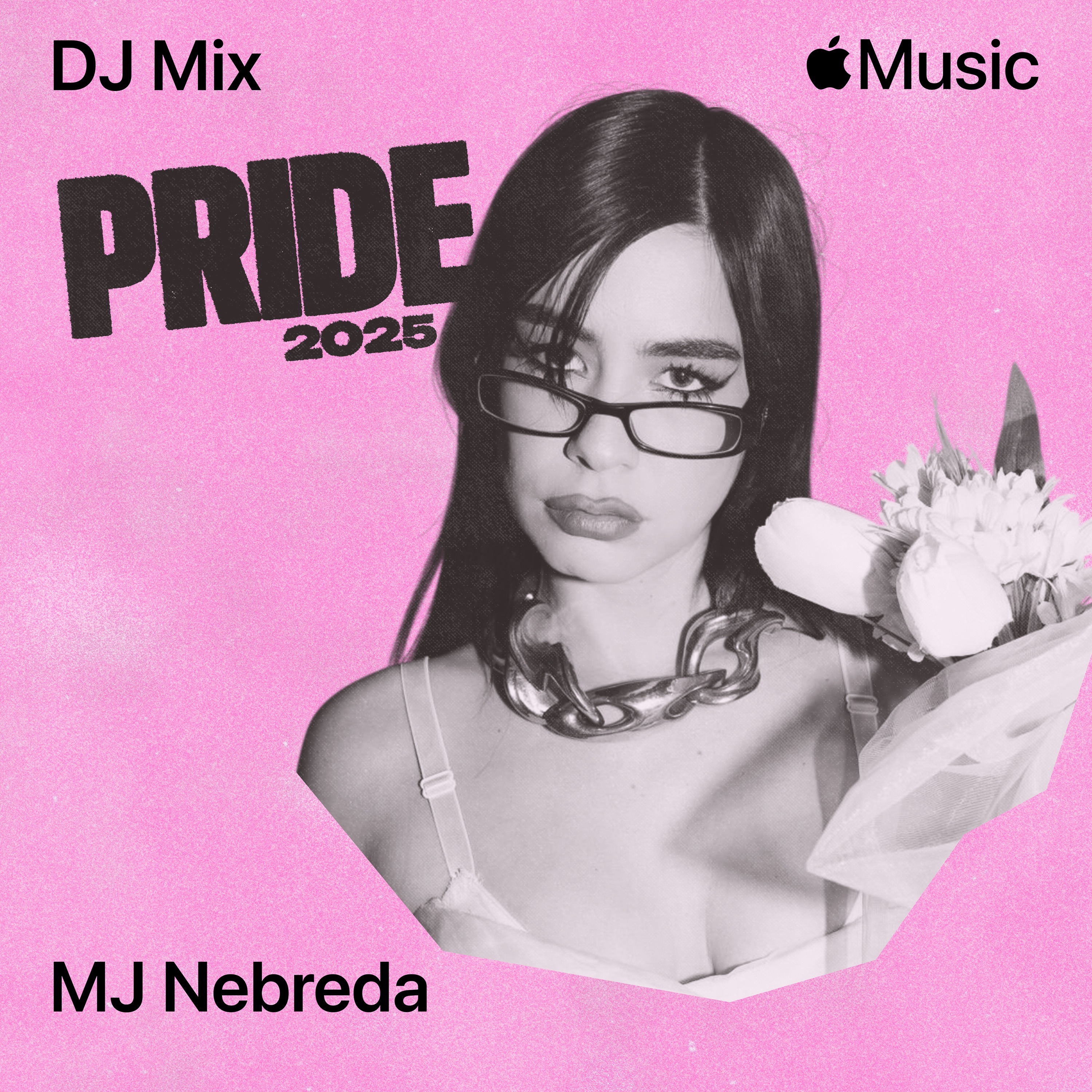 Pride 2025 (DJ Mix) album cover
