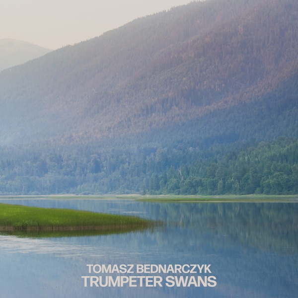 Trumpeter Swans - Single album cover
