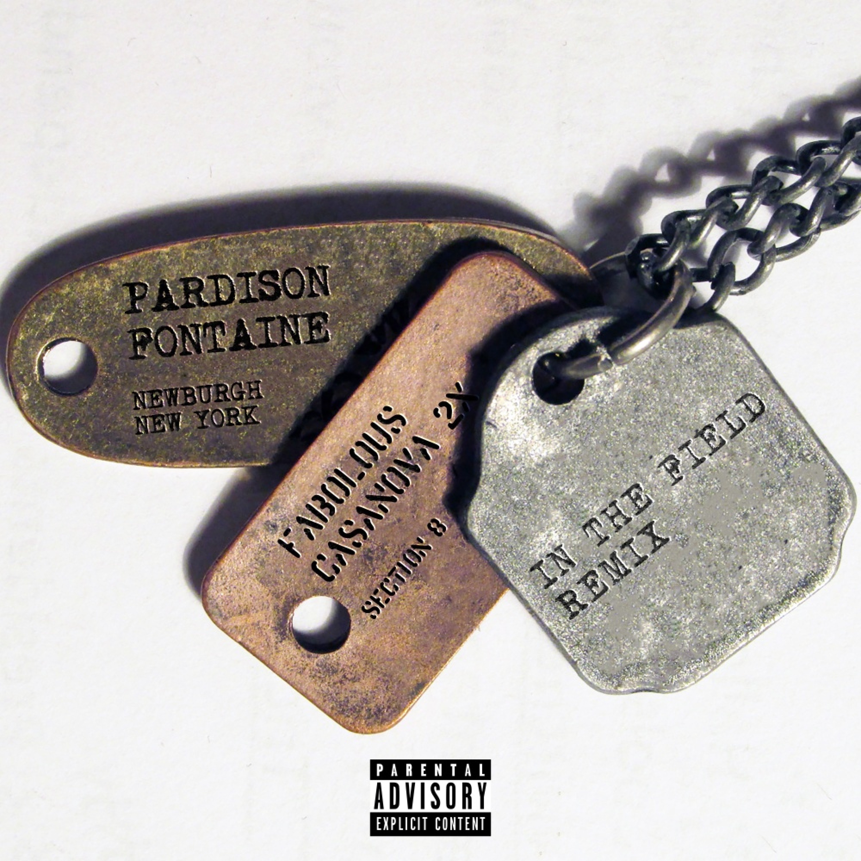 In the Field (Remix) [feat. Fabolous & Casanova] - Single album cover