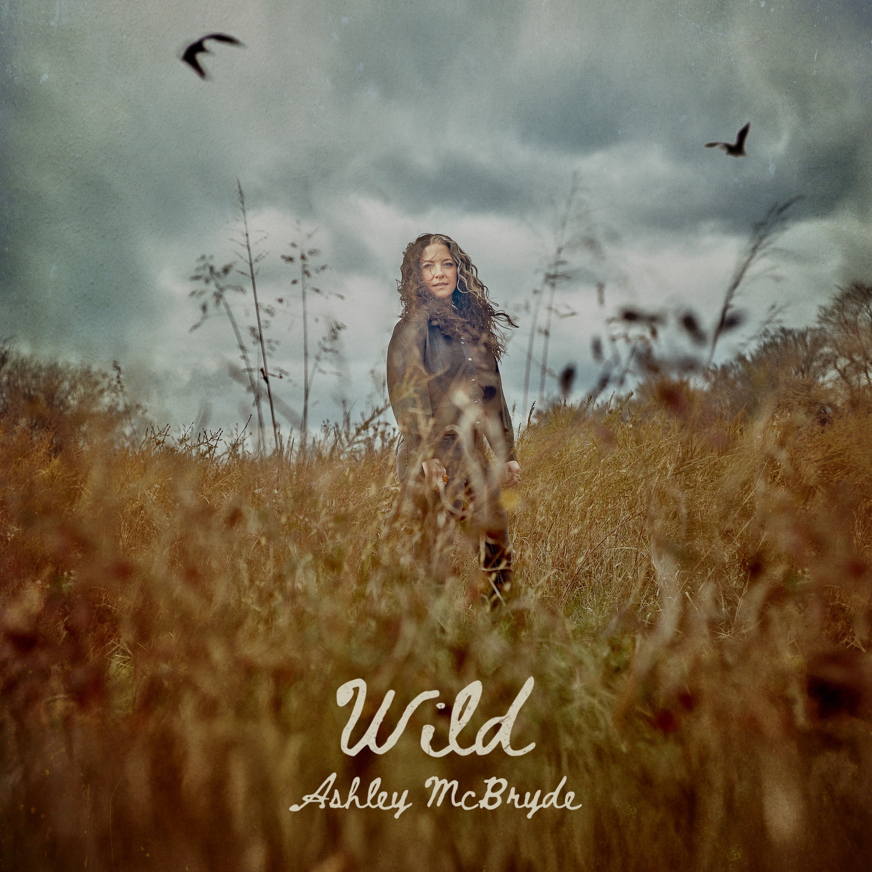 Wild album cover