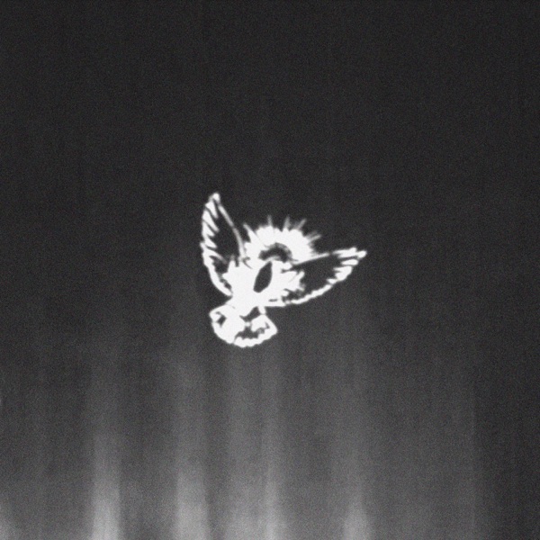 Holy album cover