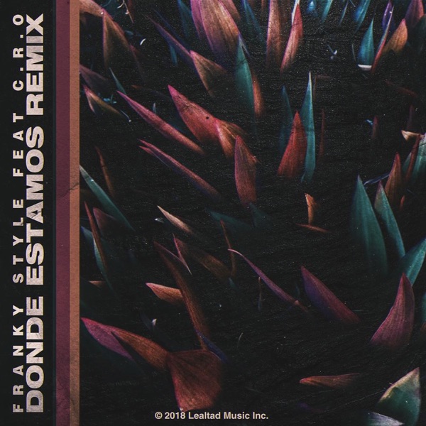 Donde Estamos (Remix) - Single album cover