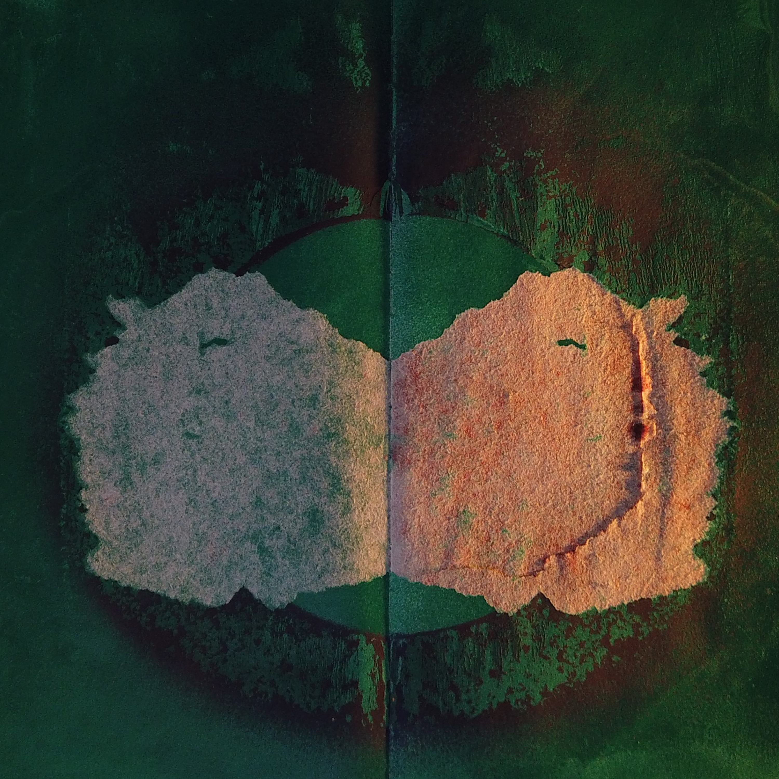 Liberation Sound: Sonic Vibrations for the Next Generation album cover