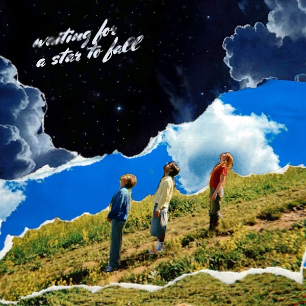 Waiting For A Star To Fall - Single album cover