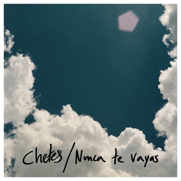 Nunca Te Vayas - Single album cover