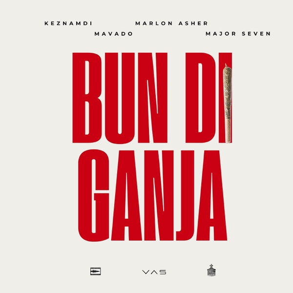 Bun Di Ganja - Single album cover