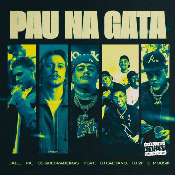 Pau na Gata (Remix) [feat. DJ Caetano & DJ 2F] - Single album cover
