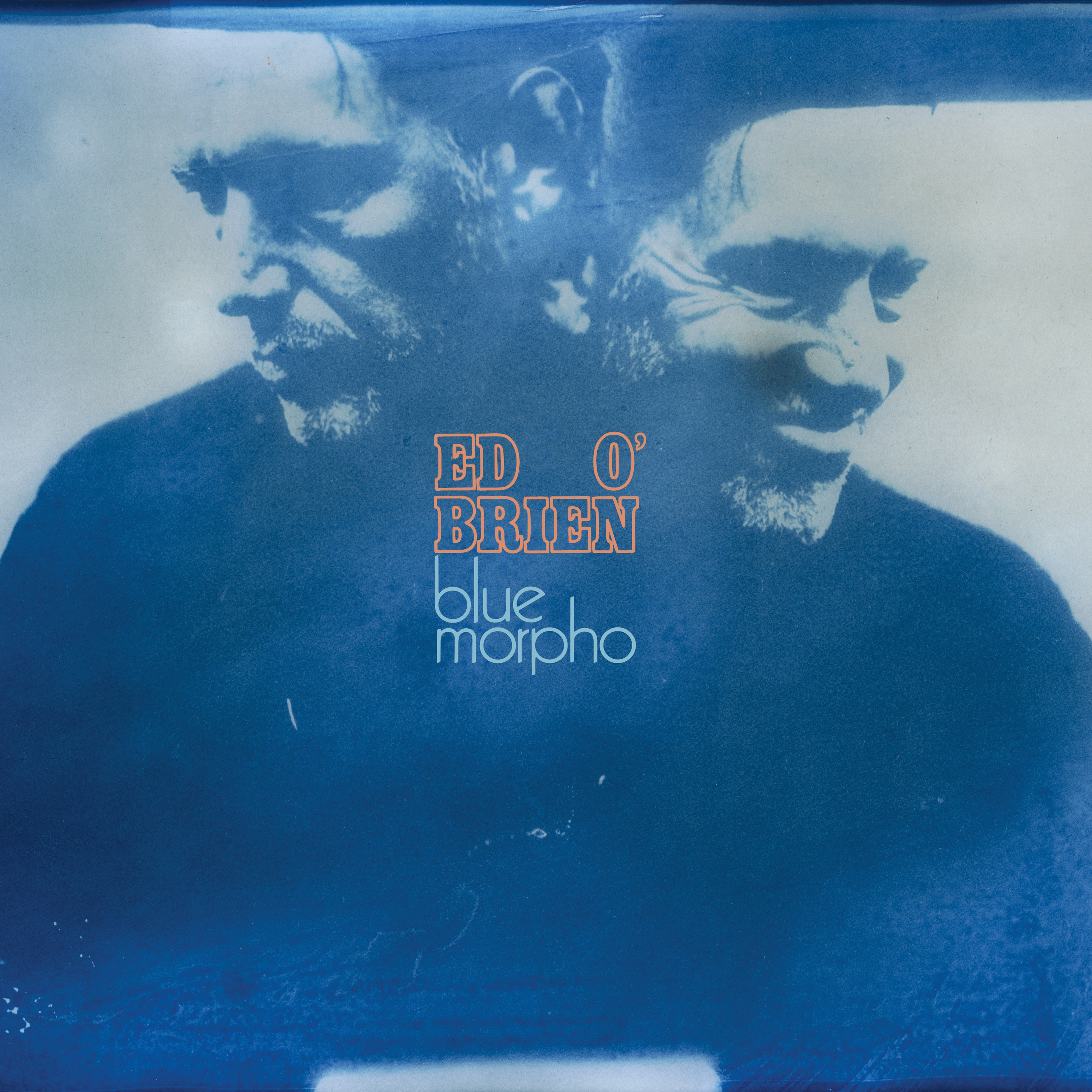 Blue Morpho album cover
