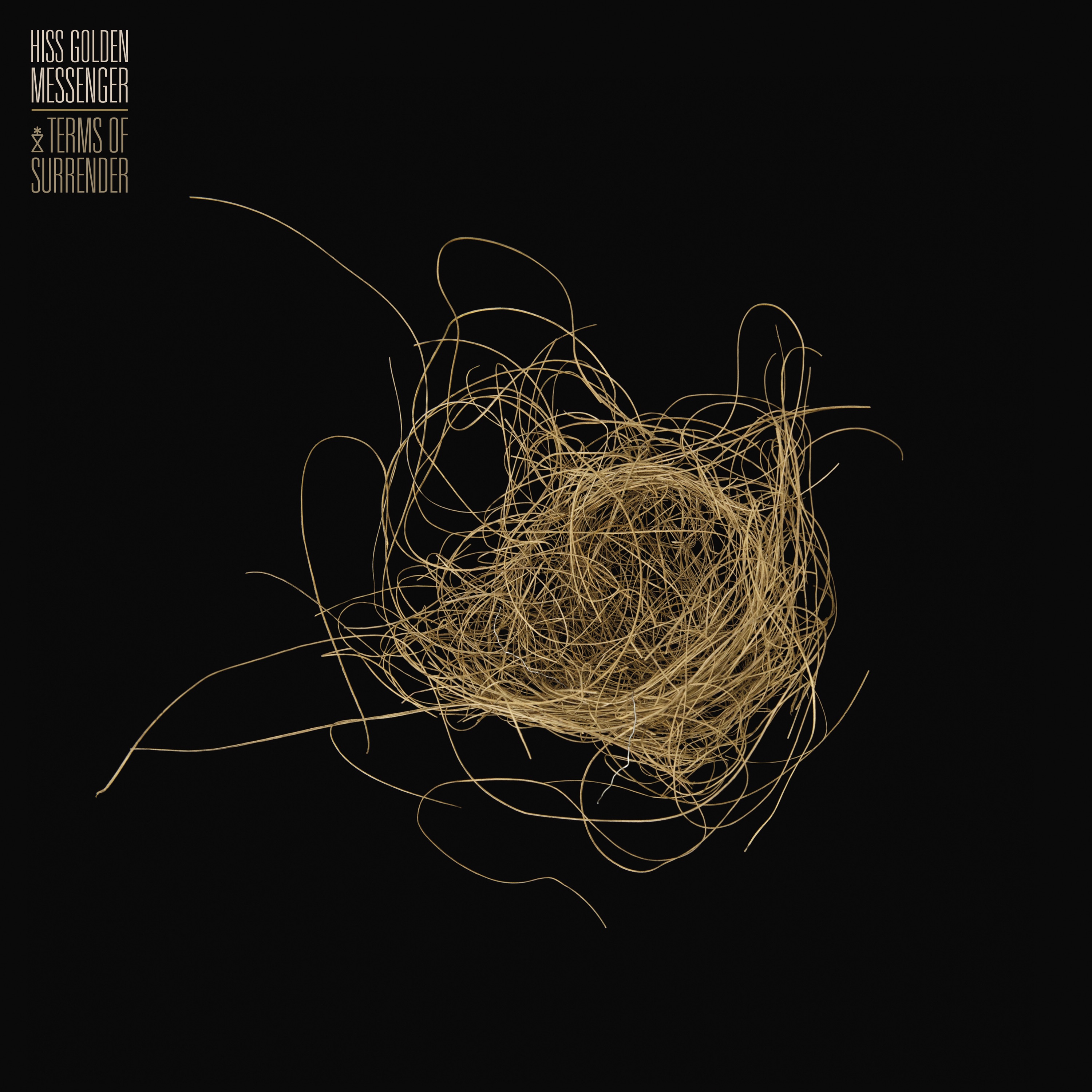 Terms of Surrender album cover