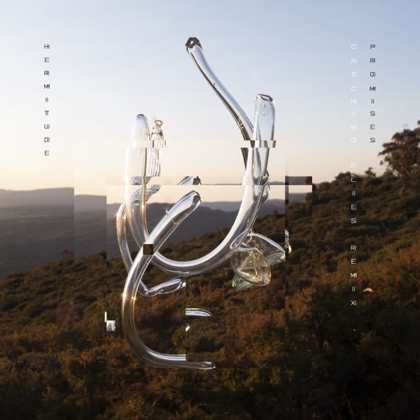 Promises (feat. Andie) [Catching Flies Remix] - Single album cover