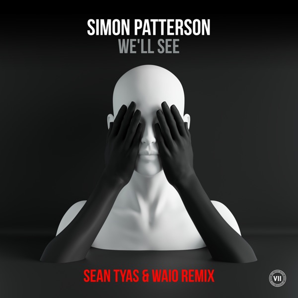 We’ll See (Sean Tyas & Waio Remix) - Single album cover