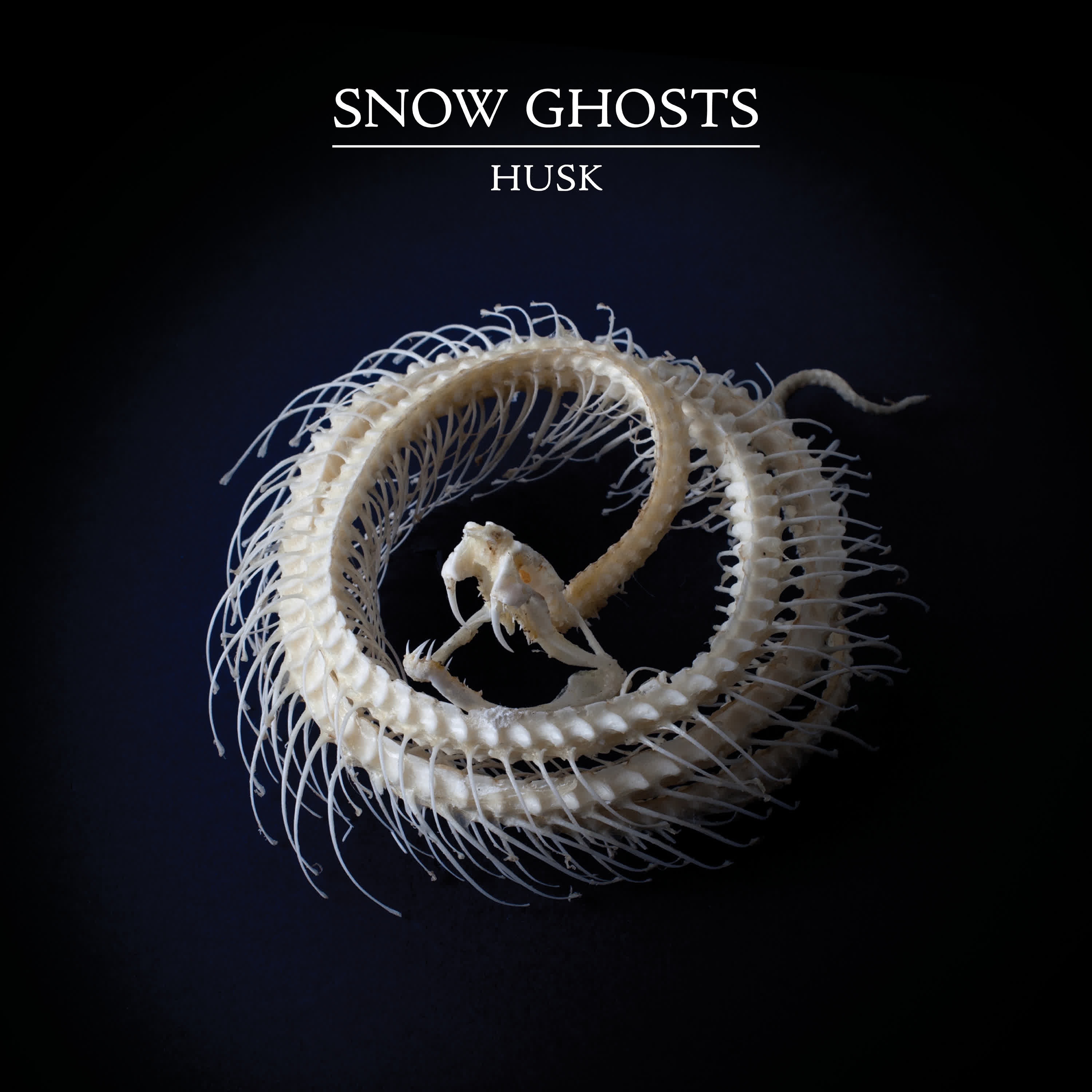 Husk album cover