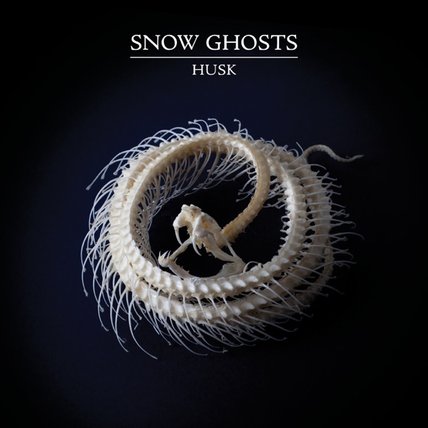 Husk album cover