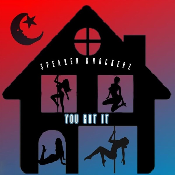 You Got It - Single album cover
