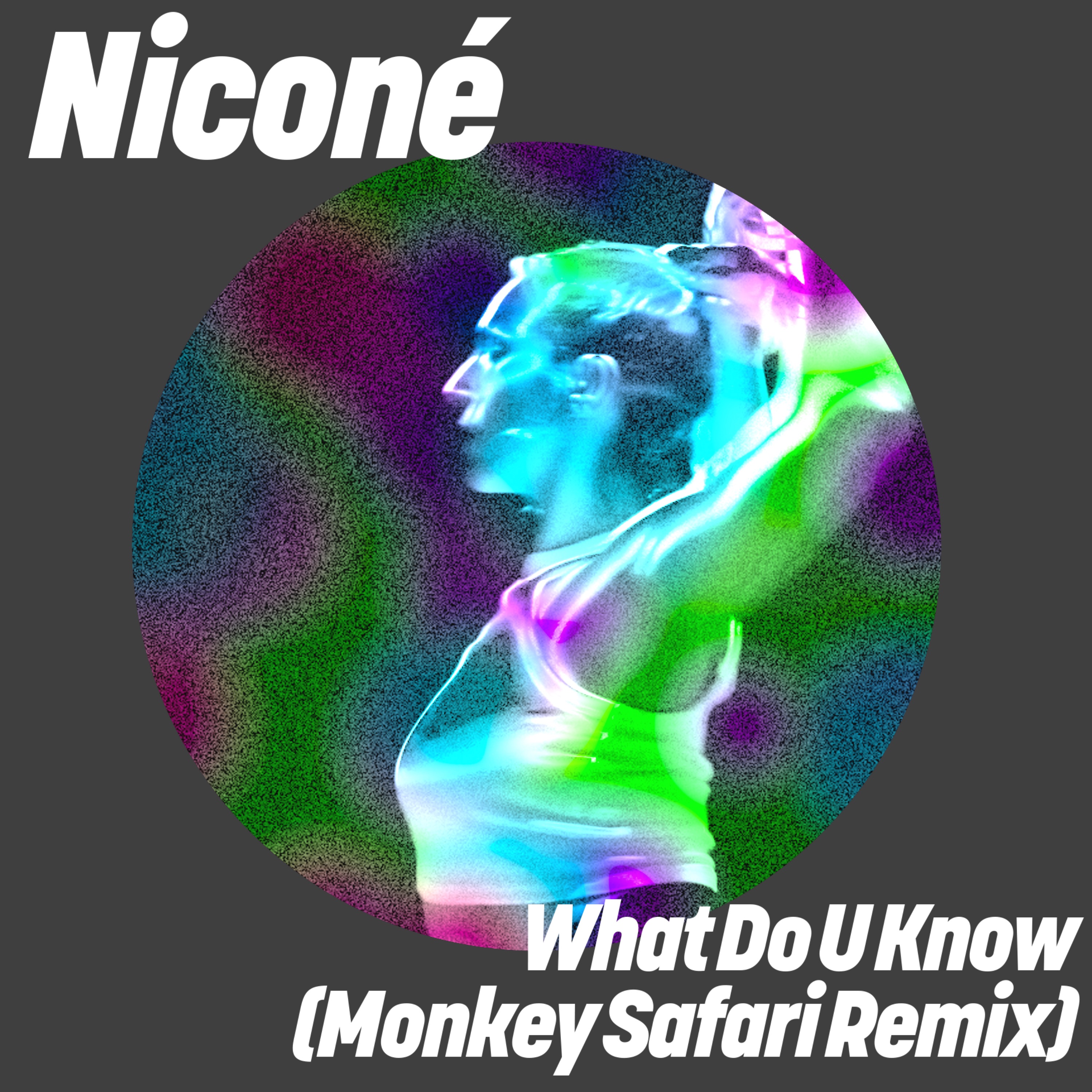 What Do U Know (Monkey Safari Remix) - Single album cover