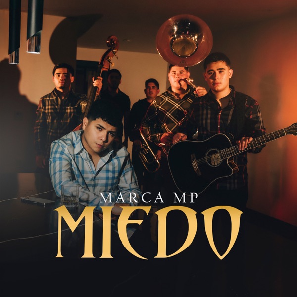Miedo - Single album cover
