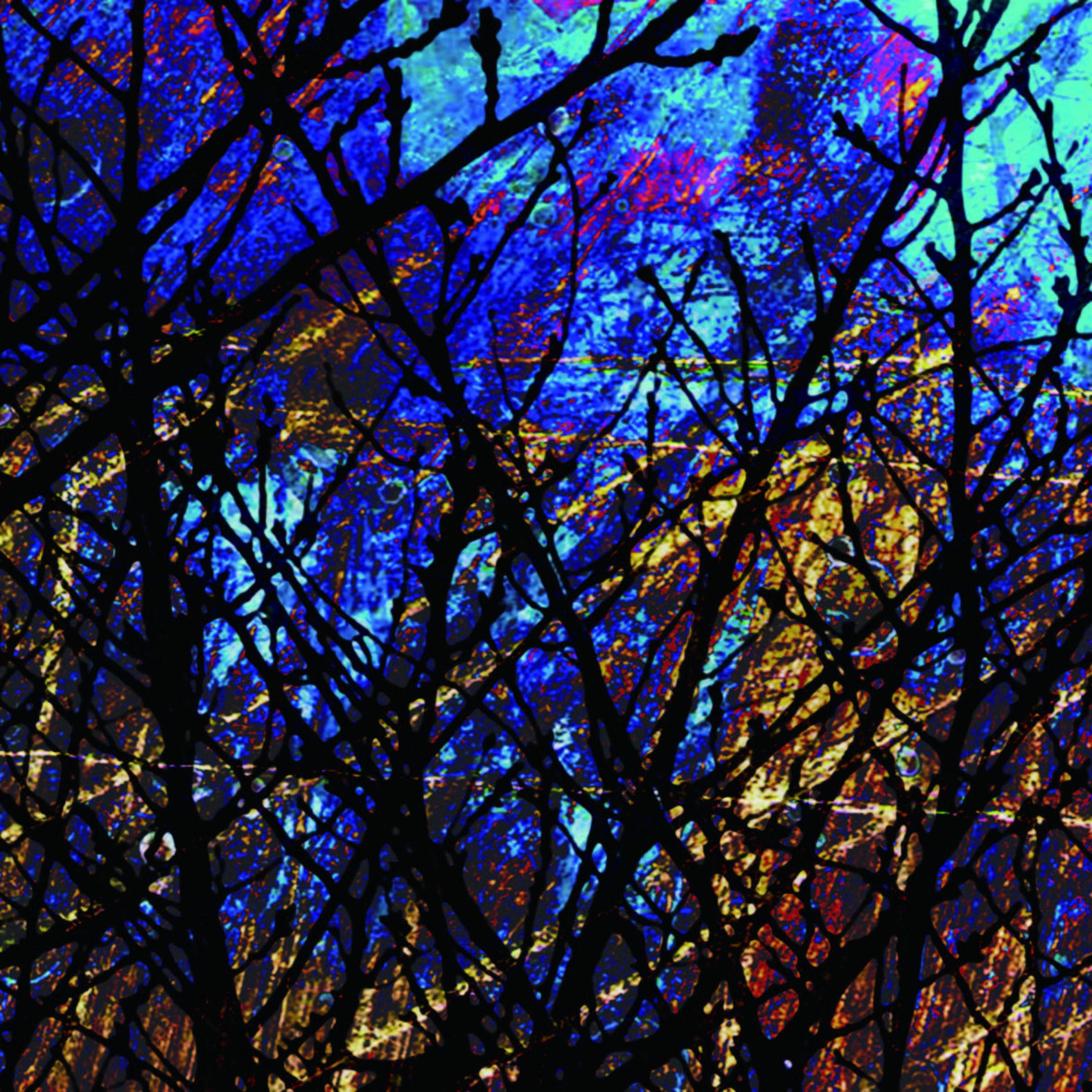 雀​色​1 Sparrow Color 1 album cover