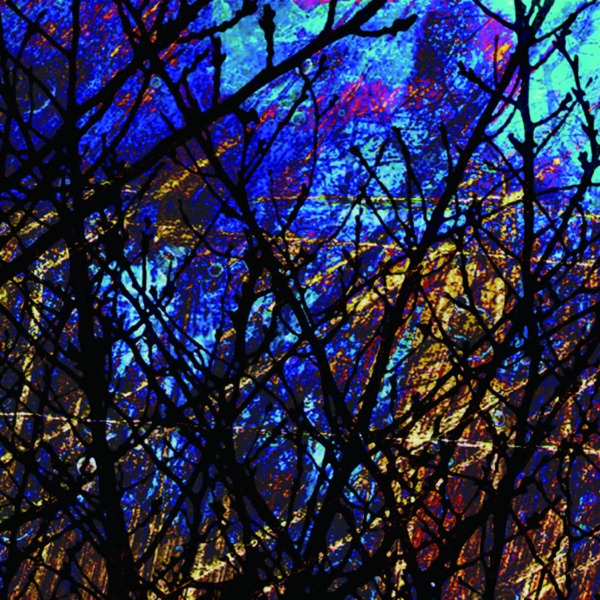 雀​色​1 Sparrow Color 1 album cover