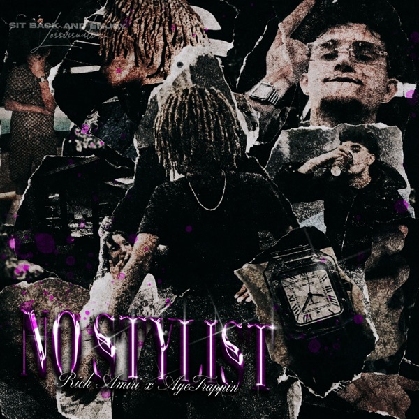 no stylist (feat. Rich Amiri) - Single album cover