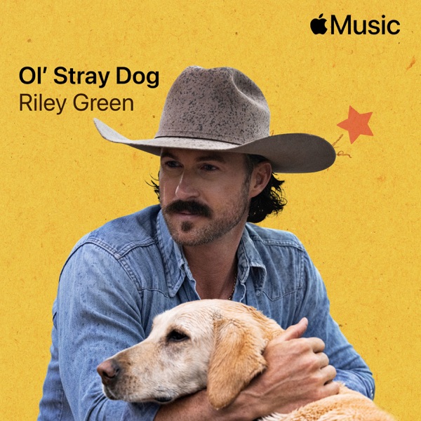 Ol' Stray Dog - Single album cover