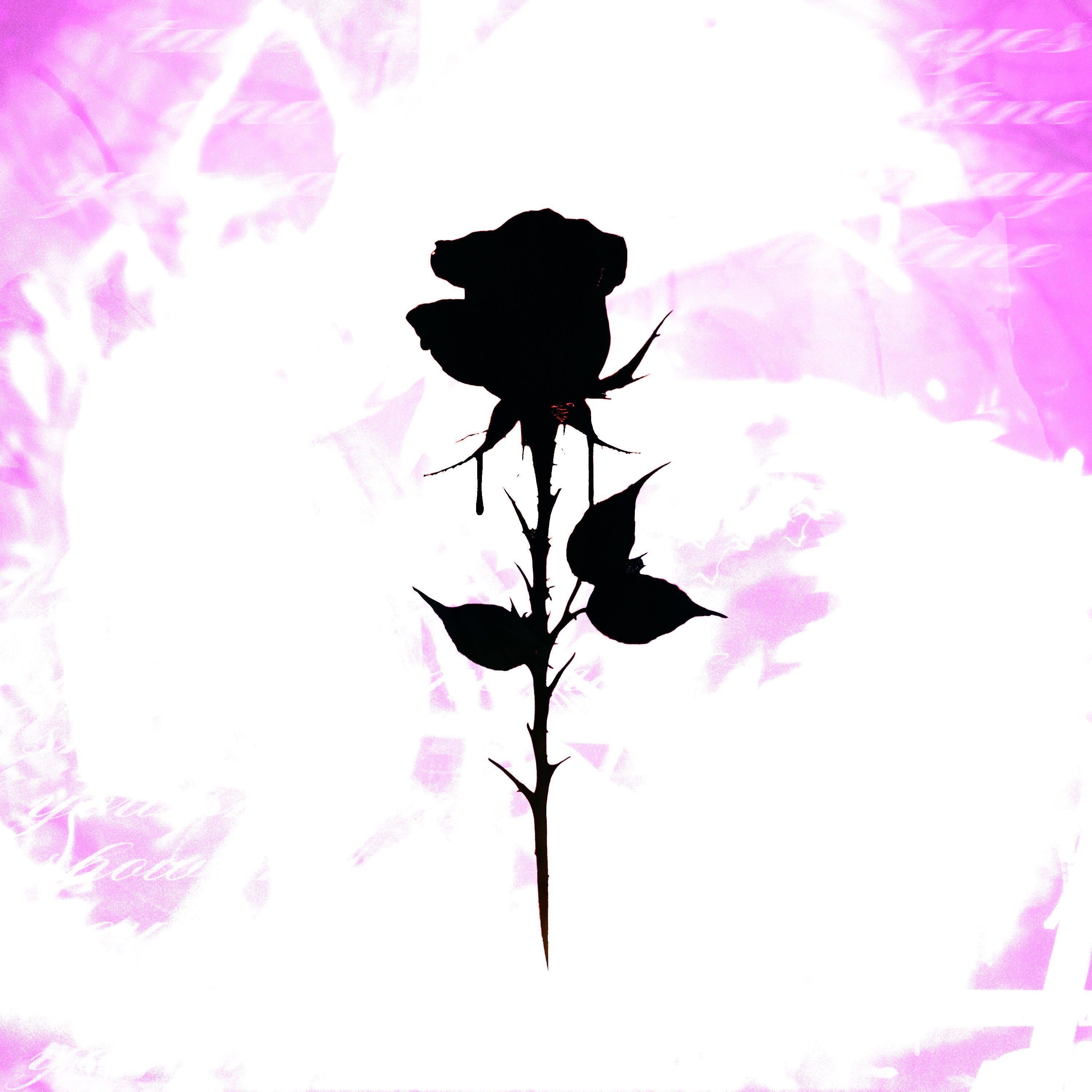 show me - Single album cover