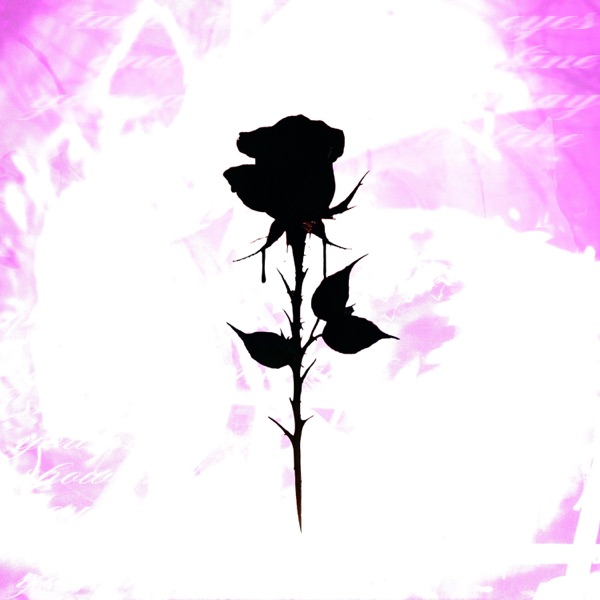 show me - Single album cover