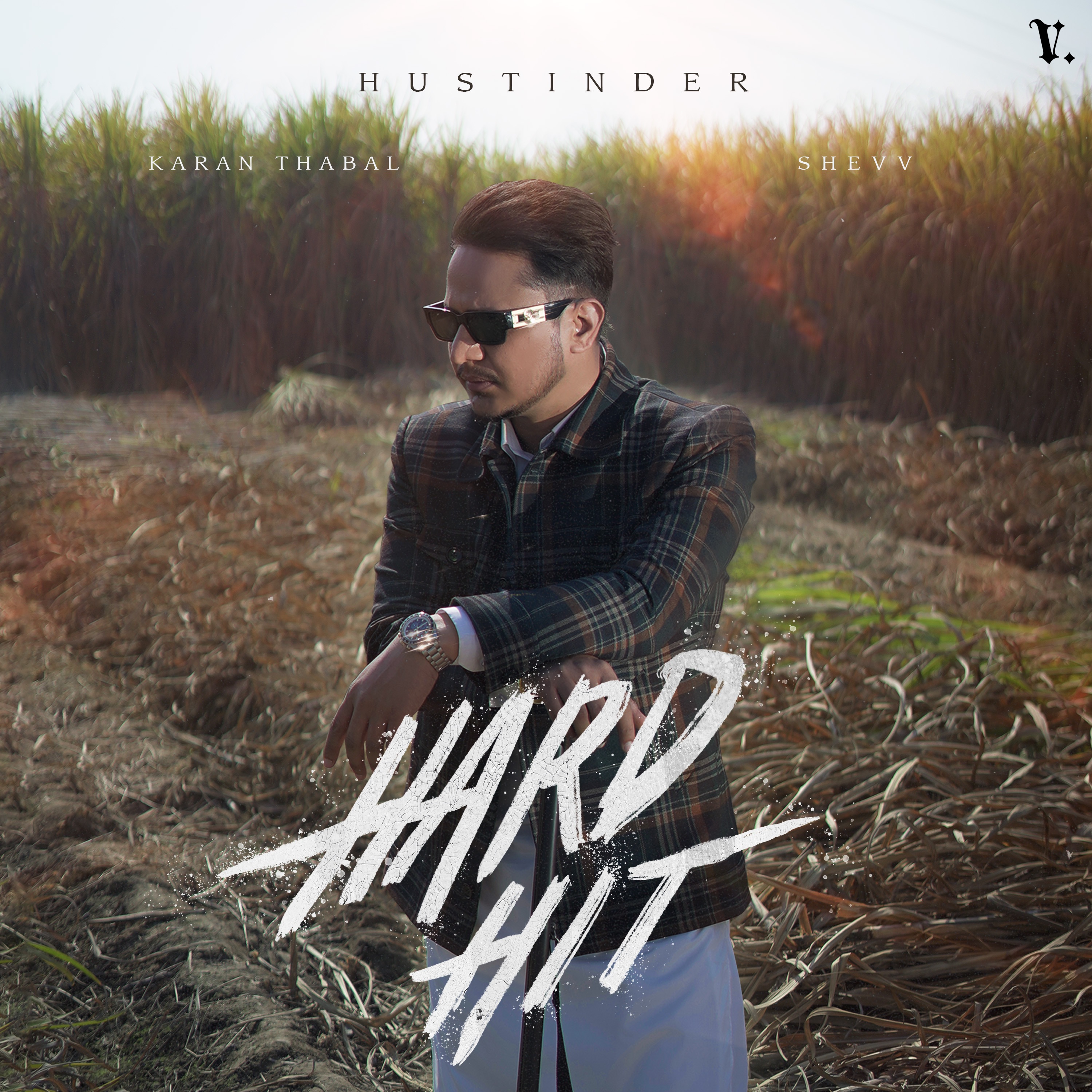 Hard Hit - Single album cover