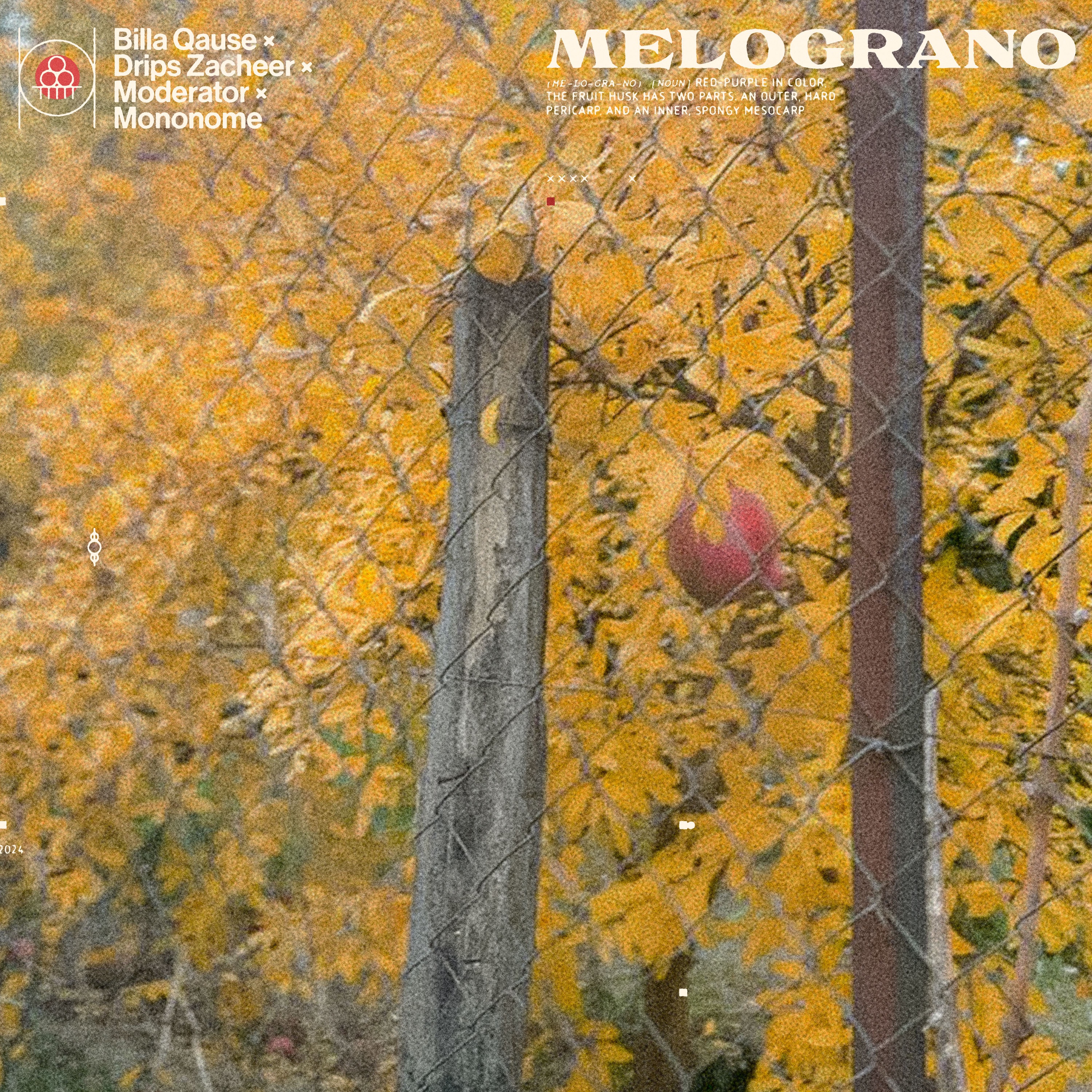 Melograno (feat. Moderator) - Single album cover