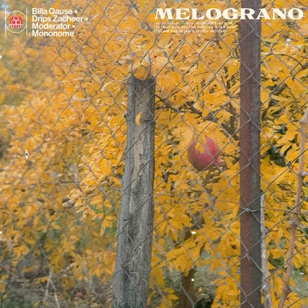 Melograno (feat. Moderator) - Single album cover