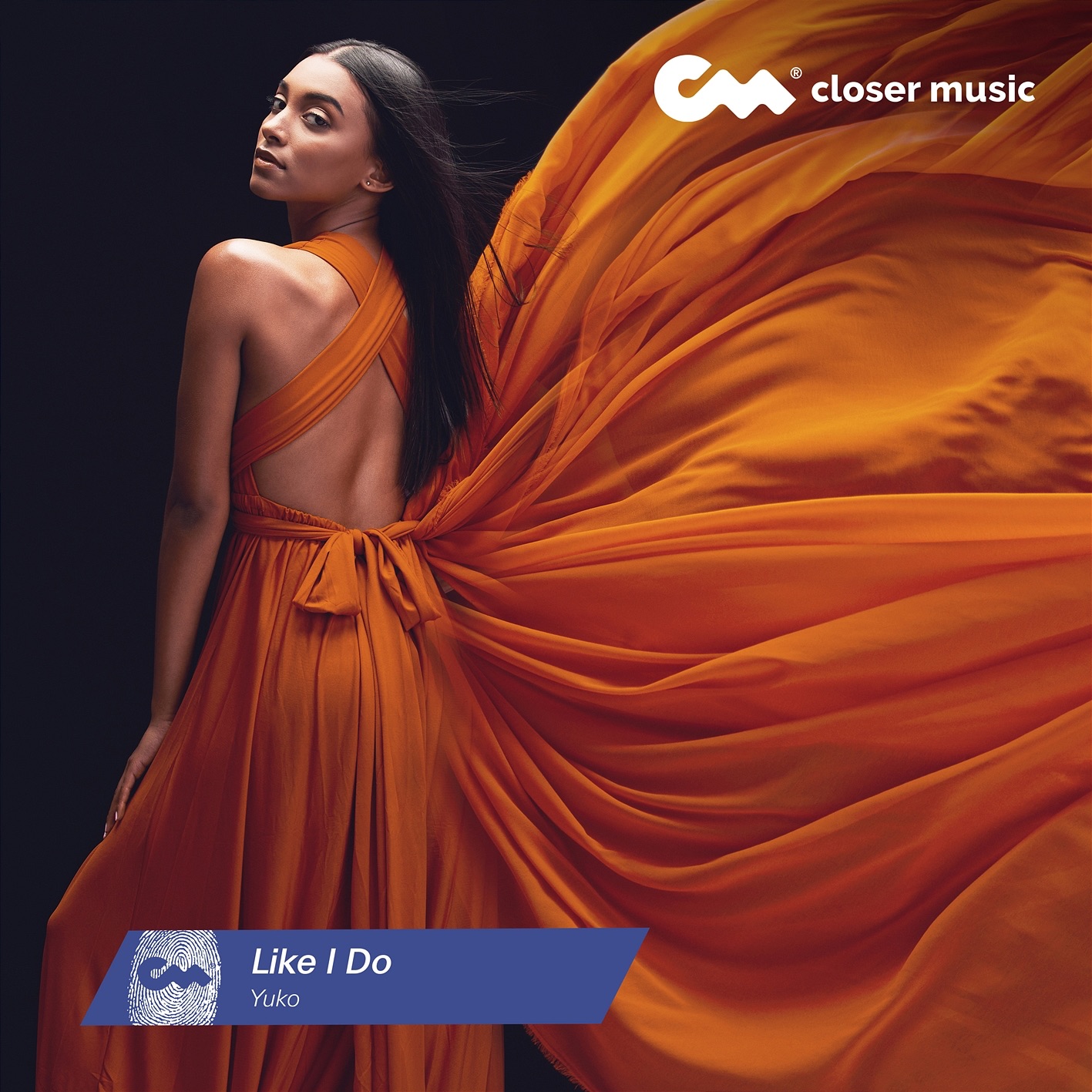 Like I Do - Single album cover