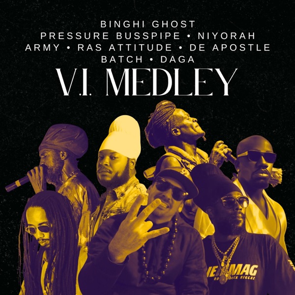 V.I. Medley (feat. Army, Ras Attitude, De Apostle, Batch & DAGA) - Single album cover