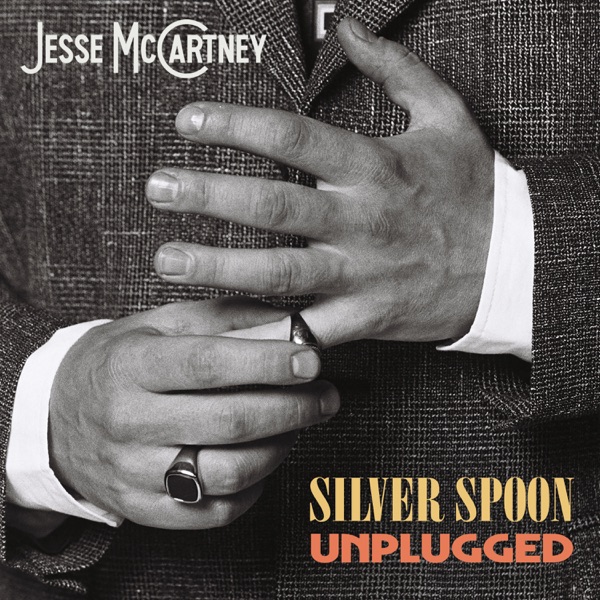 SIlver Spoon (Unplugged) - Single album cover