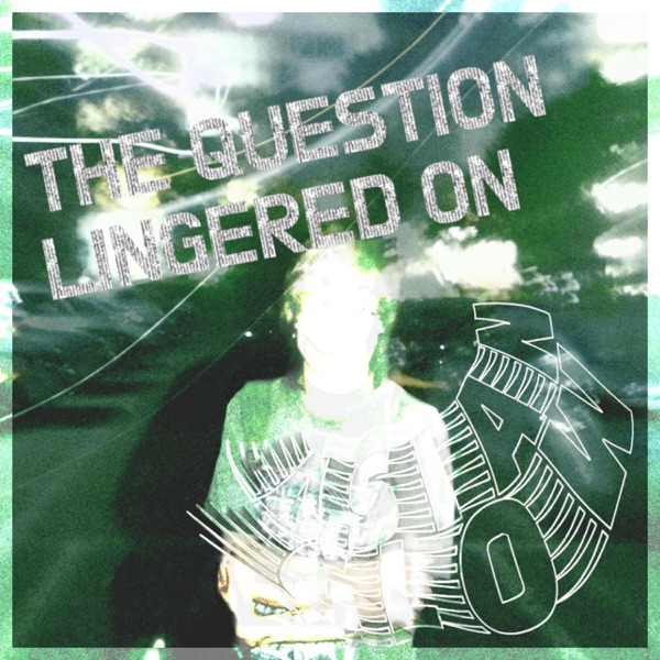 The Question Lingered on - Single album cover
