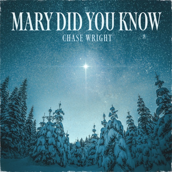 Mary Did You Know - Single album cover