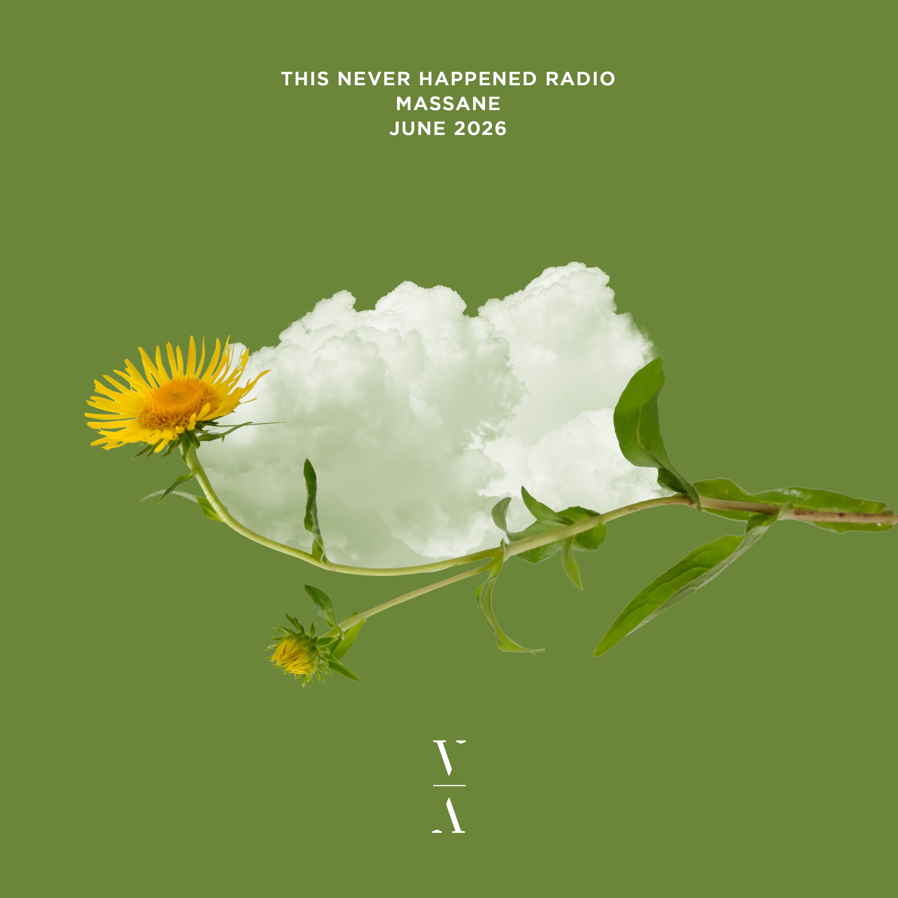 This Never Happened Radio: Massane, June 2026 (DJ Mix) album cover