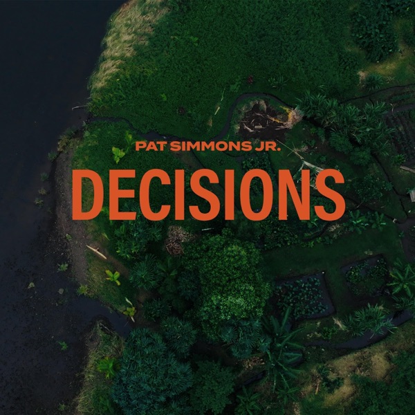 Decisions (feat. Dave Mason) - Single album cover