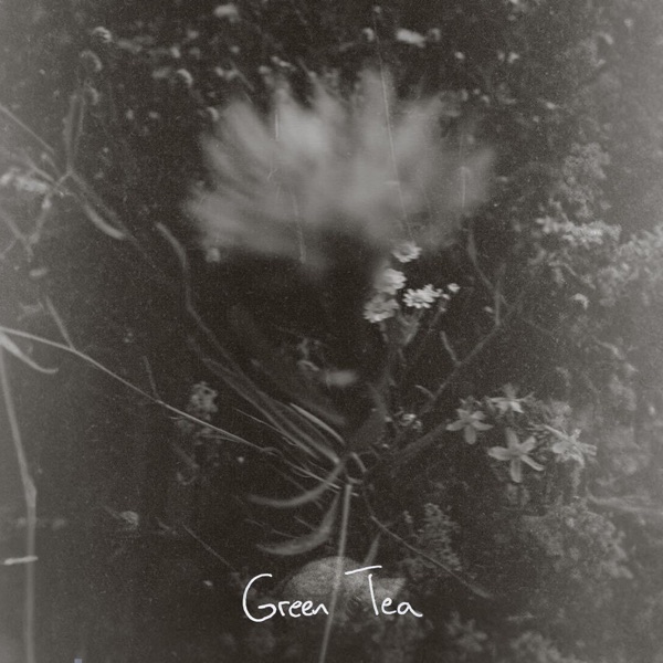 Green Tea (feat. Katie Pruitt) - Single album cover