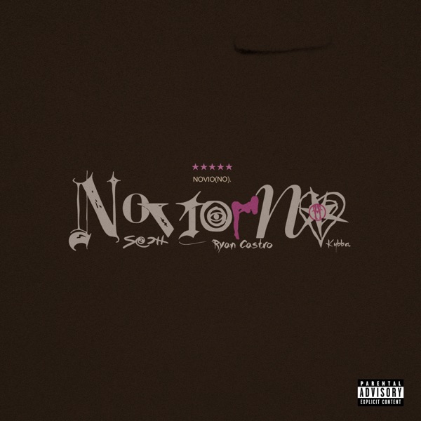 Novio No - Single album cover