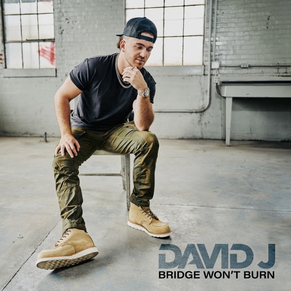BRIDGE WON'T BURN - Single album cover
