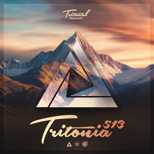 Tritonia 513 (DJ Mix) album cover