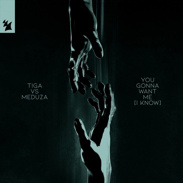 You Gonna Want Me (I Know) - Single album cover