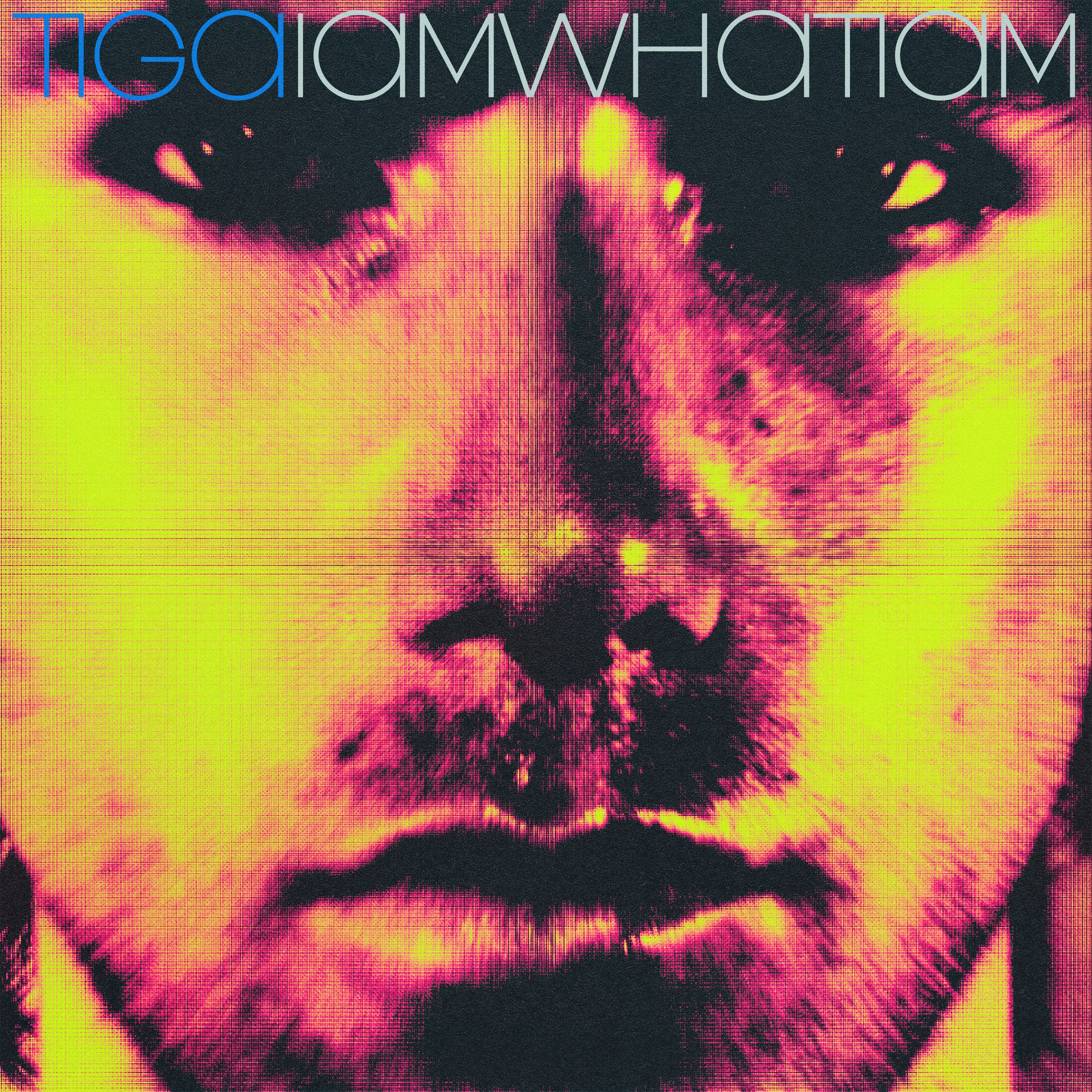 IAMWHATIAM - Single album cover
