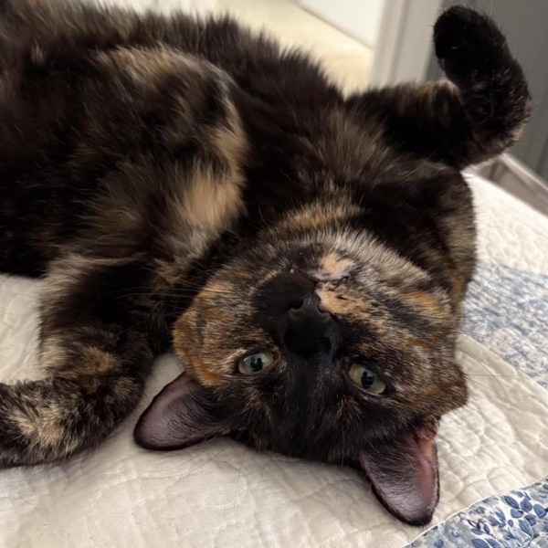 like it that way - Single album cover