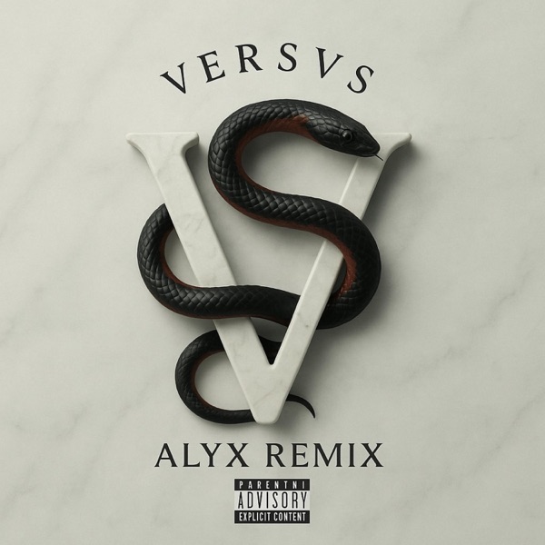 ALYX REMIX - Single album cover