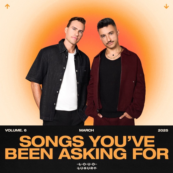 Songs You've Been Asking For, Vol. 6 (DJ Mix) album cover